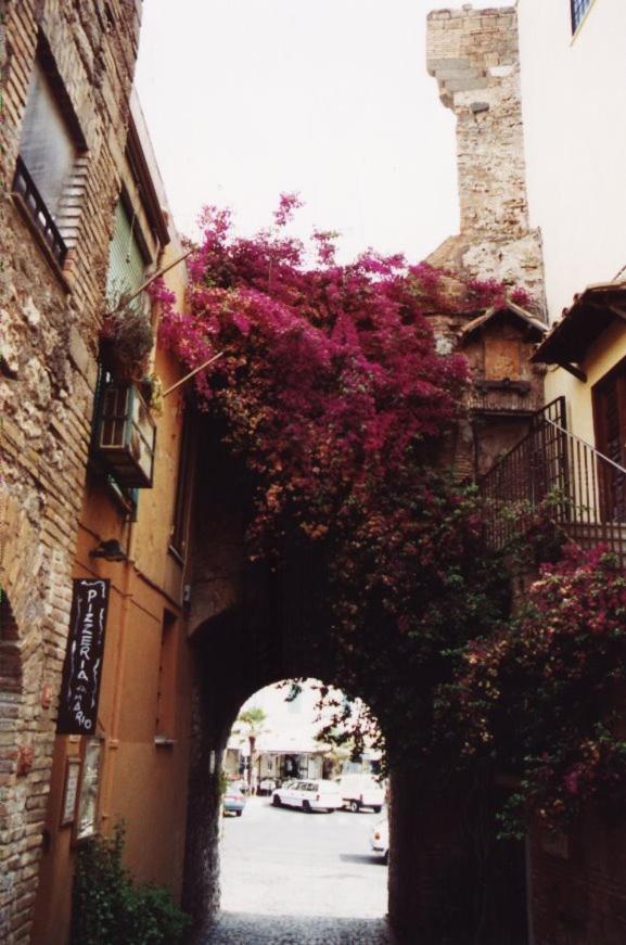 מלון נטונו La Casa Degli Artisti 1 מראה חיצוני תמונה